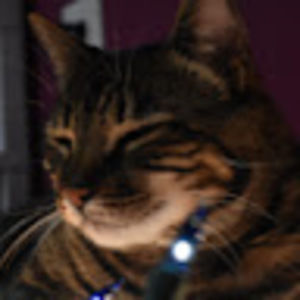 Meet your Posher, Naomi